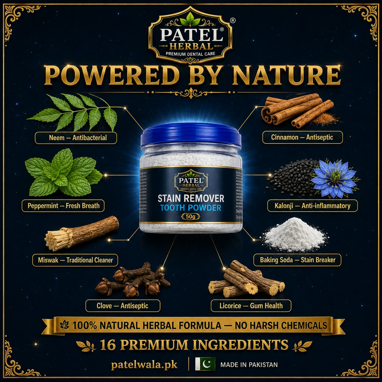 Patel Herbal Stain Remover Tooth Powder — Refill (50g)