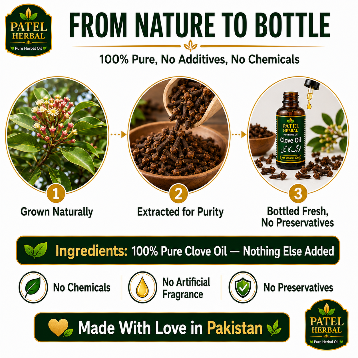 Clove Oil – 100% Pure Herbal Essential Oil for Toothache, Dental Care & Hair | 30ml