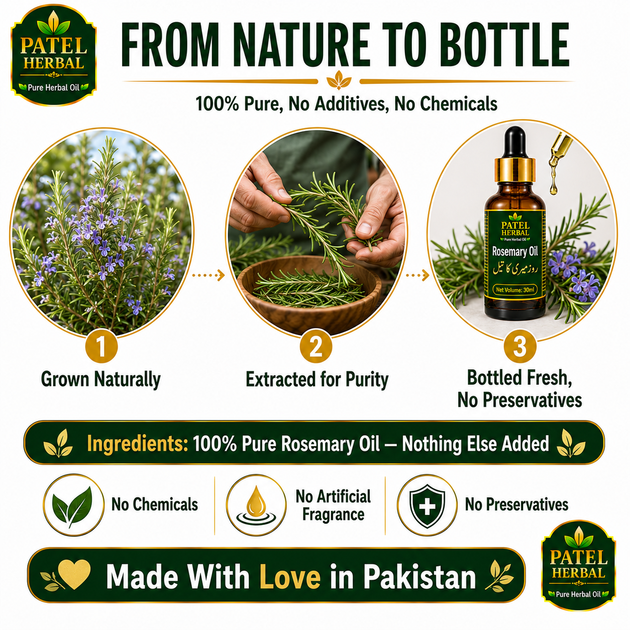 Rosemary Oil – 100% Pure Herbal Oil for Hair Growth & Hairfall Control | 30ml